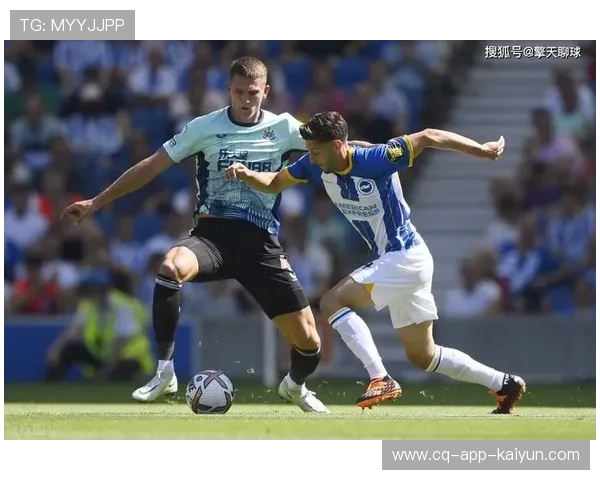 海鸥军团低价引援成功,打造实力强阵迎接新赛季 海鸥军团低价引援成功,打造实力强阵迎接新赛季